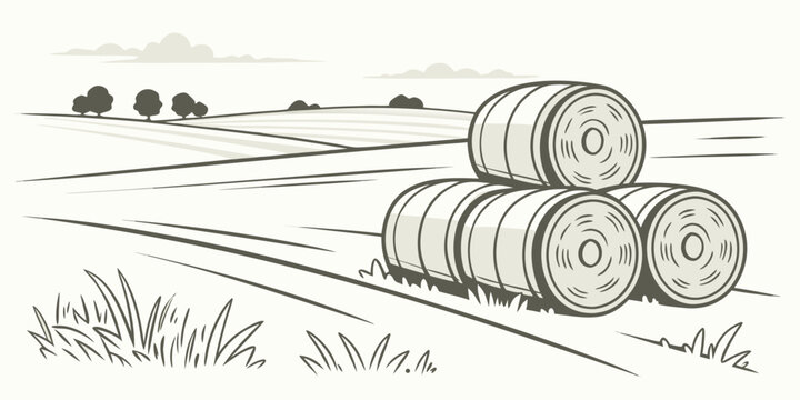 A stack of hay bales in a field Vector