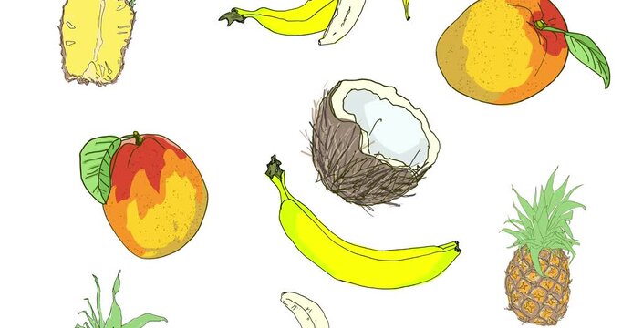 Mixed fruit of  banana, pineapple, coconut, mango. Animation seamless loop pattern with tropical fruit on white background. 4k motion graphic  