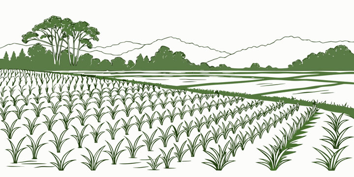 A green illustration of a field with rows of crops and trees Vector