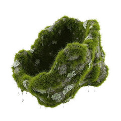 Fototapeta premium Lush Moss and Lichen Covered Organic Shape with Water Droplets