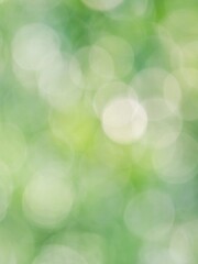 Obraz premium 森の木陰の風景。木漏れ日の様子。爽やかな光の風景。丸い玉ボケ。縦構図。