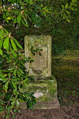 sehr alter kleiner Grabstein neben einem Rhododendron auf einem Friedhof in Unna © Blende8