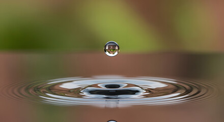 Water droplet creating ripples in a pond