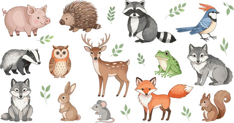Fototapeta premium Forest Woodland Animals Collection Fox Deer Owl Raccoon Vector Illustration Set