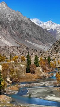 Autumn Mountain River Flowing Through Valley with Snow-Capped Peaks and Golden Trees in Naltar Valley pakistan