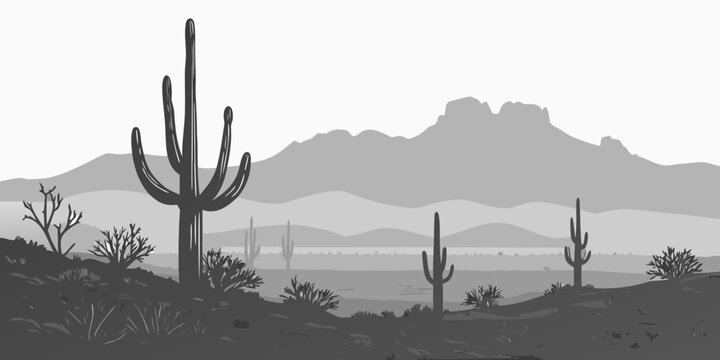 USA, US, U.S, United States - Yuma desert skyline cactus silhouettes monochrome panorama