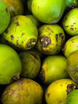 close up of green coconuts