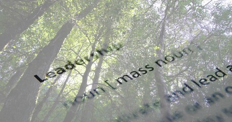 Naklejka premium Displaying forest canopy and trunks rising toward sky in woods, overlaid with black type