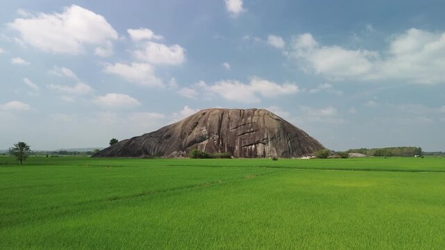 Drone flyover approaching a massive Inselberg rising from lush green rice fields in Phu Dien, Southern Vietnam. Hidden gem of natural landmark.