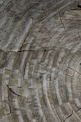 old wood background close up	
