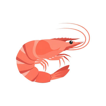 A large pink shrimp with curved body isolated on transparent background