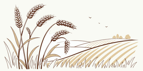 A bunch of wheat stalks with grain heads Vector © MST CHIN BANU BEGUM