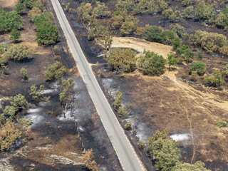 Naklejka premium Burnt landscape after a forest fire. Spain 2025. Aerial shot.