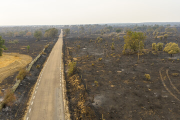 Naklejka premium Street in a burnt landscape after a forest fire. Spain 2025. Aerial shot.