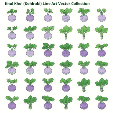 Knol Khol Illustration, Fresh Kohlrabi Vegetable Isolated, Organic Farm Produce Concept