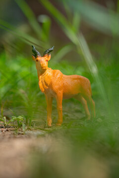Hirola antelope figure, an endangered species. The Hirola is considered one of the rarest antelopes in the world. Blurred background image