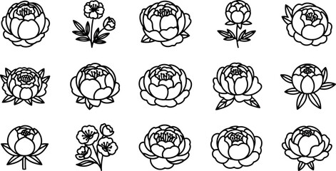 Black and white peony flower line floral © GT Designs