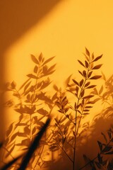 Plant shadows on a vibrant orange wall creating an artistic natural pattern.