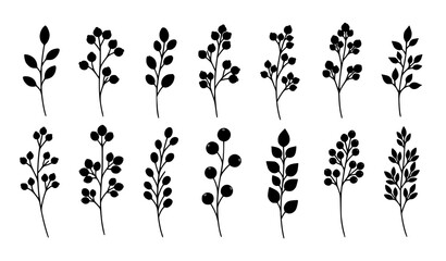 Silhouette berry branches botanical plant decorative vector elements collection isolated on white background © Lipi