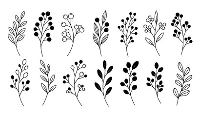 Botanical silhouette branches with berries decorative plant vector collection isolated on white background © Lipi