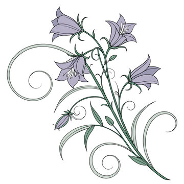 Decorative Bellflower Stem with Purple Flowers, Buds and Swirl Ornaments, Vector Illustration
