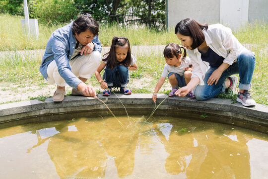 A family of four, parents and two young daughters, crouch by a pond, observing the water and touching the surface with sticks.