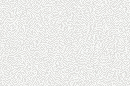 Minimalist white turing pattern background, organic gray line art texture, abstract biological reaction diffusion vector eps