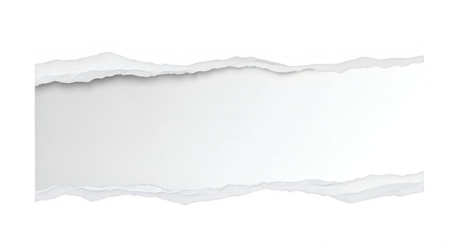 Torn paper, ripped edges, white background, paper tear, ripped paper effect