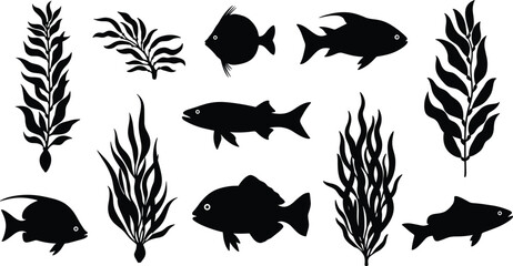 Marine fish and seaweed silhouette collection isolated on white background underwater ocean plants aquatic wildlife vector illustration set © creativeDesigner2023