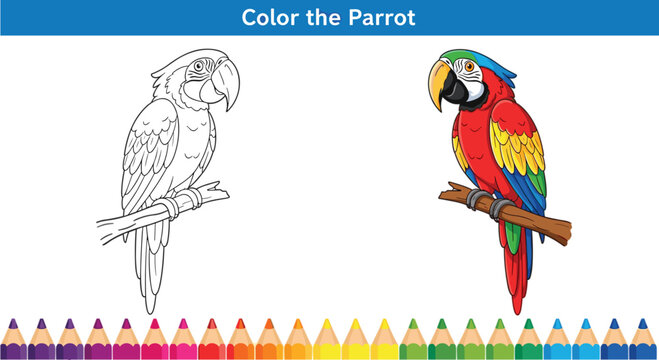 Educational Color the Parrot Activity Sheet Featuring a Detailed Macaw Line Drawing and Colorful Reference for Children's Creative Learning