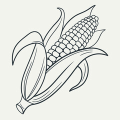 Corn on the cob - healthy food illustration with line art © Saharima