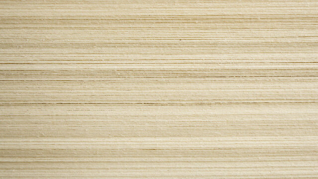 side view of Book page close up texture background