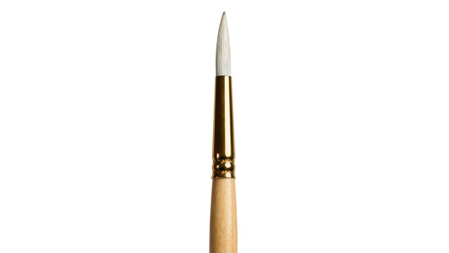Isolated professional round painting brush with pointed white bristles, wood handle and gold ferrule