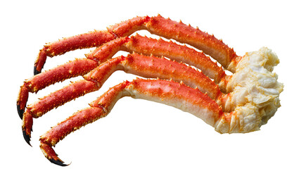 Isolated delicious cooked king crab legs with exposed white meat, ready for a gourmet meal © Isolde