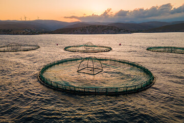 Offshore aquaculture fish farming with cages of fish farm in sea. Aerial shot