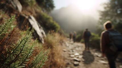 Obraz premium Sunlight illuminates a mountain trail as a group of hikers walks onward