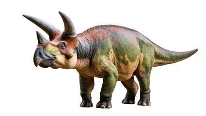 Isolated lifelike prehistoric three-horned ceratopsian dinosaur model with vibrant skin colors © Elowen