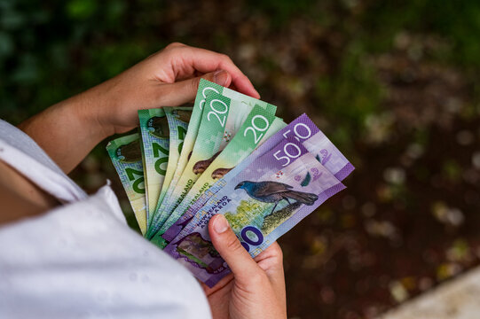 Adult woman hand holding New Zealand banknotes in a garden