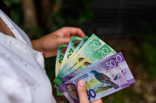 Adult woman hand New Zealand banknotes in a garden