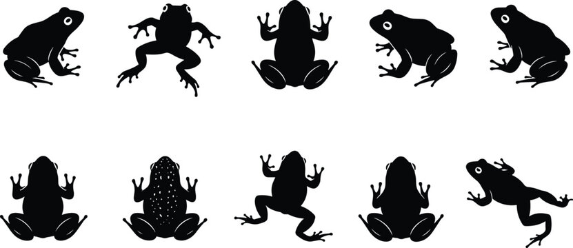 Set of various black frog silhouettes in different poses and positions, including jumping, sitting, and top views, isolated on a clean white background.