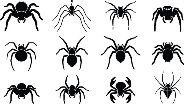Collection of twelve diverse black spider silhouette vector icons featuring various arachnid species like tarantulas and jumping spiders isolated on a clean white background.