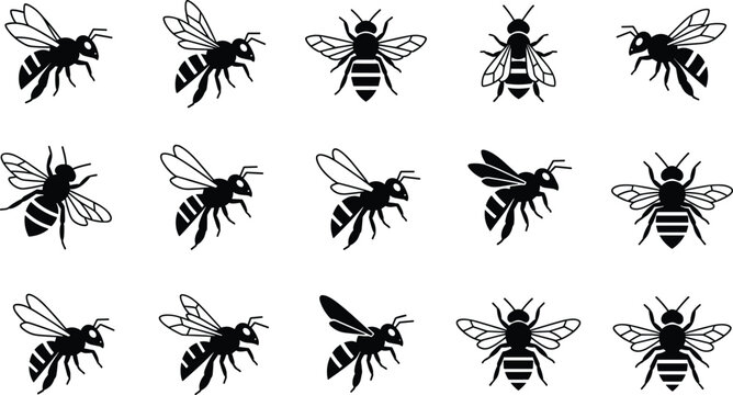Collection of Minimalist Black Honey Bee Icons and Vector Silhouettes in Various Poses for Nature Branding Honeycomb Graphic Design Honeybee Illustration and Apiary Logos