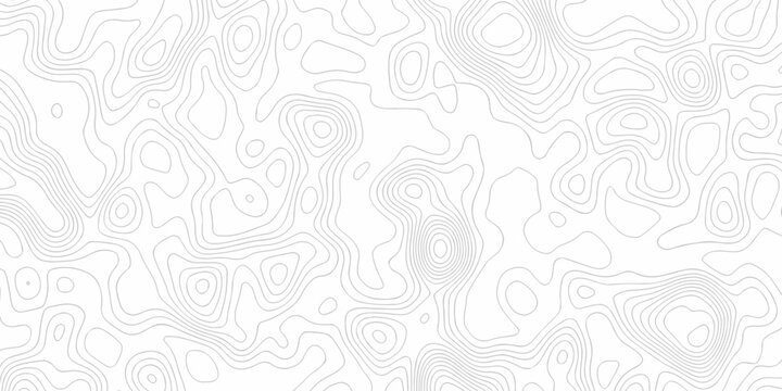 White topography map line geometric grid outline curve counter map wavy design. topography relief discovery area black spiral line space landscape texture background.
