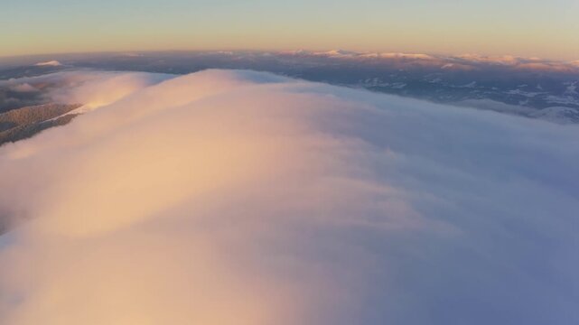 Cloud waves gently and slowly flow over the tops of snow-capped mountains covered with spruce forests at a cold sunset