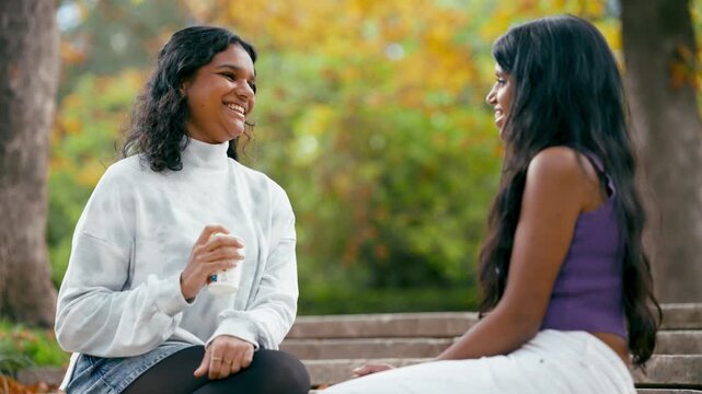 Two young indian female friends enjoying a conversation. They are sitting on stone steps in a park, talking, smiling, and having a good time