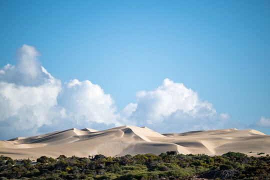 Large coastal sand dunes rise above scrubland under a dramatic blue sky with billowing clouds
