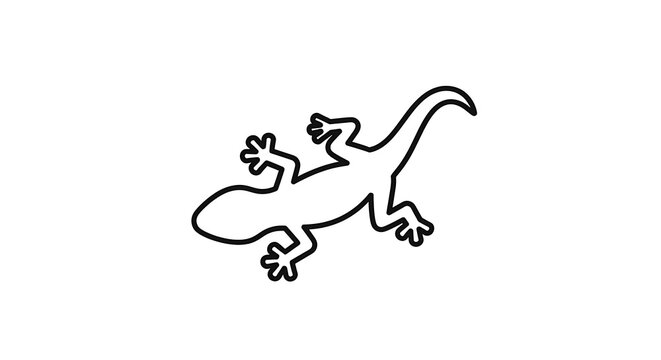 Outline of a lizard
