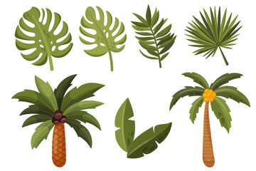 Flat vector illustration set of tropical leaves and palm trees. Exotic jungle plants isolated elements for summer beach design, travel themes and tropical decorations © E_katherinne