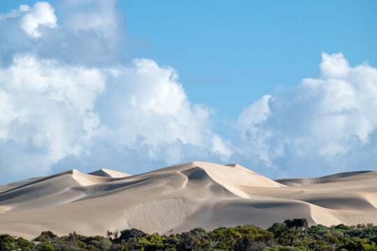 Large coastal sand dunes rise above scrubland under a dramatic blue sky with billowing clouds