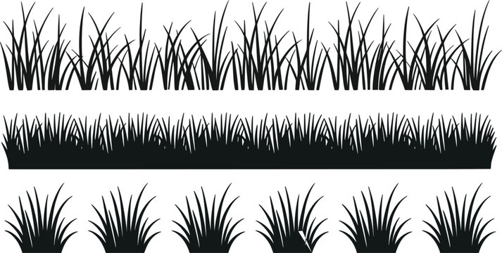 Grass silhouettes border set, wild meadow grass plants isolated nature landscape design elements collection